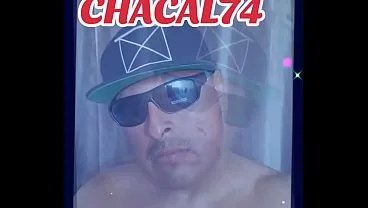 Pelon