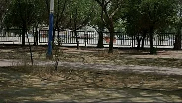 #Compilation Arab Kuwaiti exhibitionist cruising fully naked in Public Park