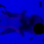 st 37b535d612e2f1753d6799e32698495e