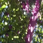 st b35db01a0d3a9d3ea60bea722185ae4e