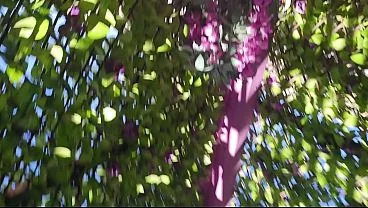 Pool Party Slut Creampied Deep In Tight Pussy