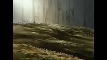 Hentai Anime Girl Gets Fucked